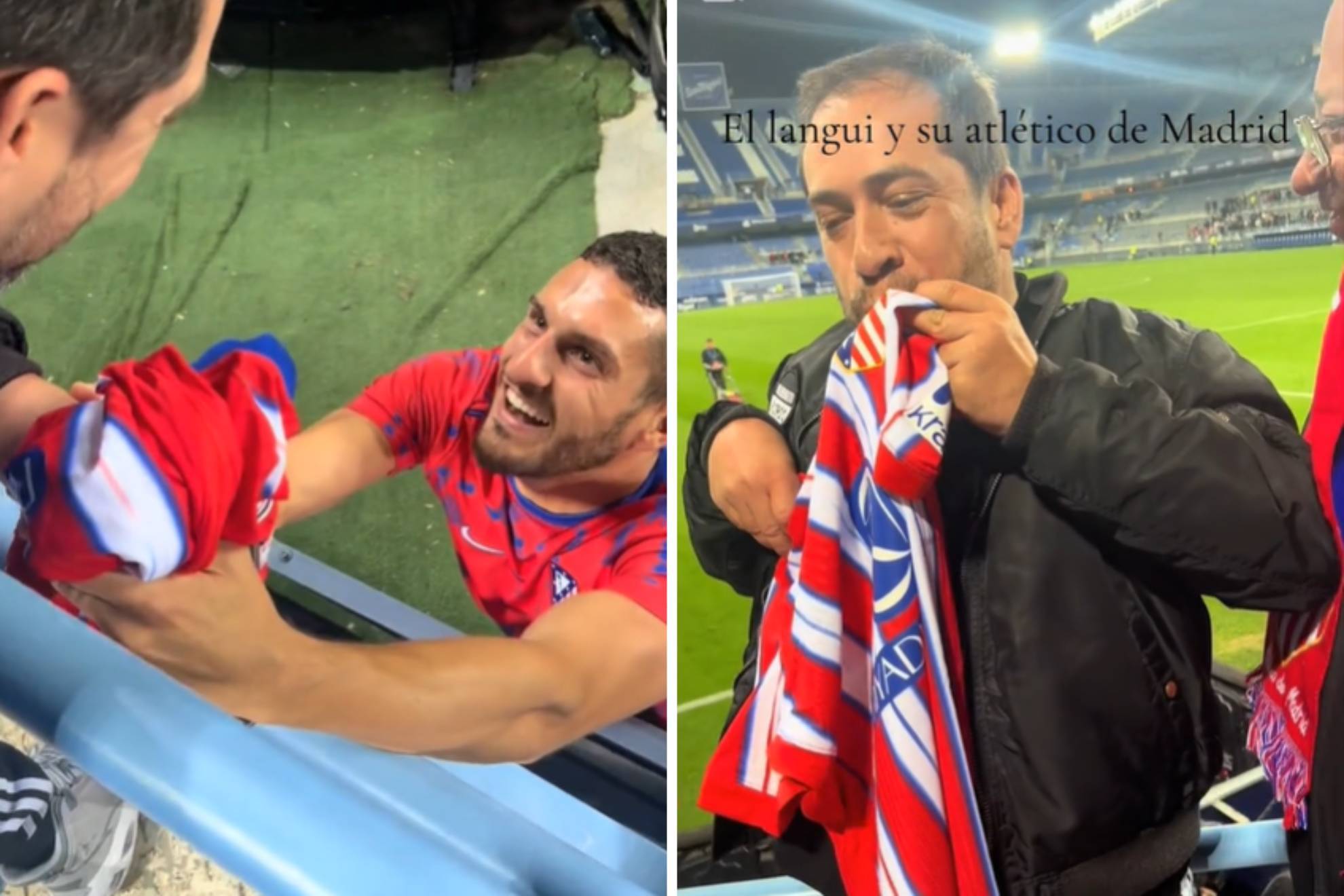 天津津门虎 天津津门虎