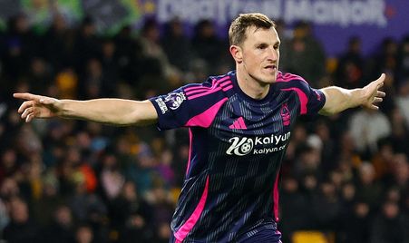 牌和稳定的 牌和稳定的