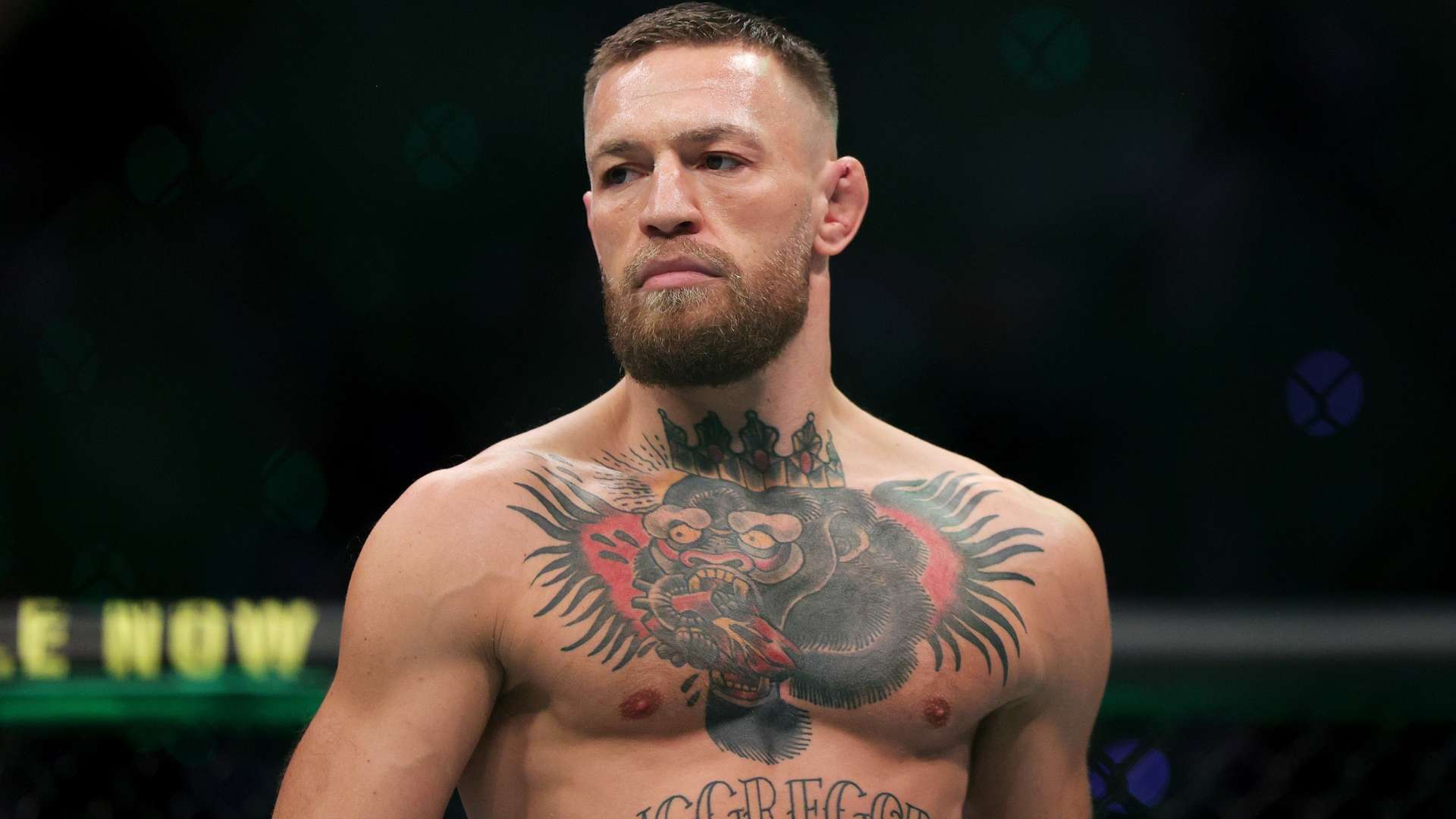 更是一种文 更是一种文